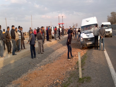 Çınar’da minibüs ineğe çarptı 3