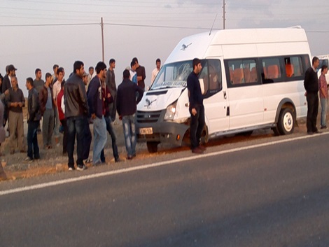 Çınar’da minibüs ineğe çarptı 4