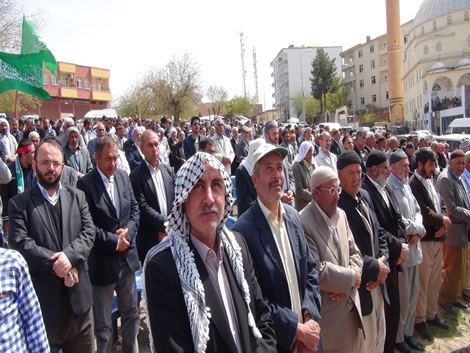 Çınar Hz Peygambere teslim oldu 16