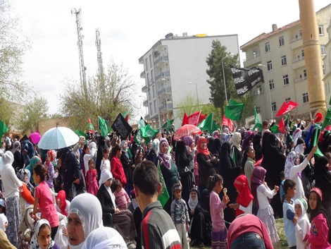Çınar Hz Peygambere teslim oldu 42