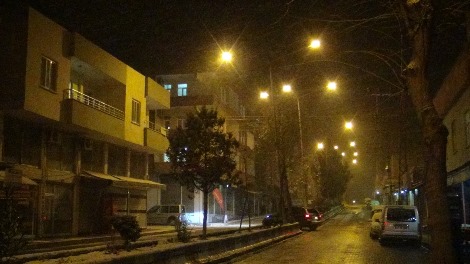 Çınar yoğun kar yağışı altında 3