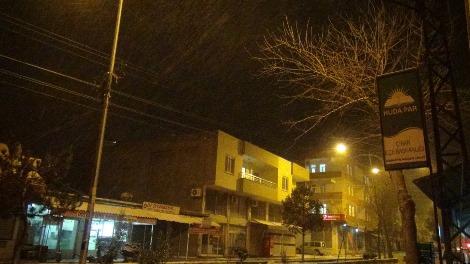 Çınar yoğun kar yağışı altında 9