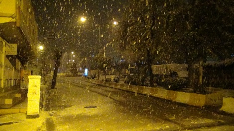 Çınar yoğun kar yağışı altında 1