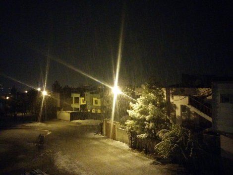 Çınar yoğun kar yağışı altında 11