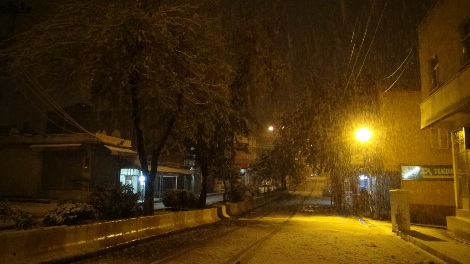 Çınar yoğun kar yağışı altında 3