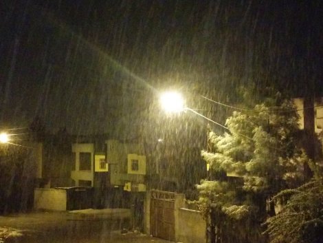 Çınar yoğun kar yağışı altında 9