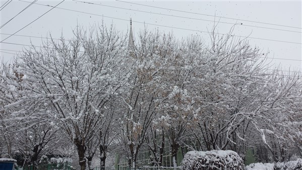 Çınar’da yoğun kar yağışı devam ediyor 24