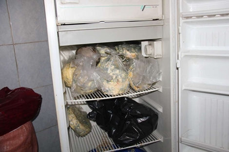 Xelkê Sûrê bêçareye 14