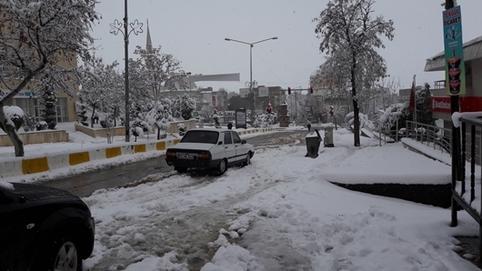 Çınar’da yoğun kar yağışı 24