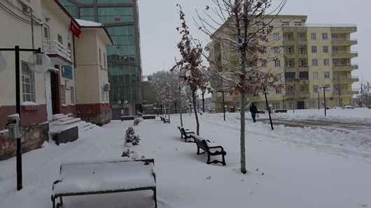 Çınar’da yoğun kar yağışı 26