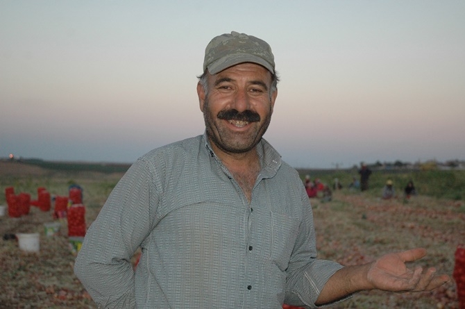 Artan masraflar soğan eken Çınarlı çiftçiyi zorluyor 36