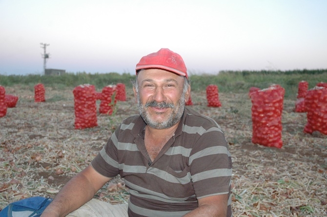 Artan masraflar soğan eken Çınarlı çiftçiyi zorluyor 37