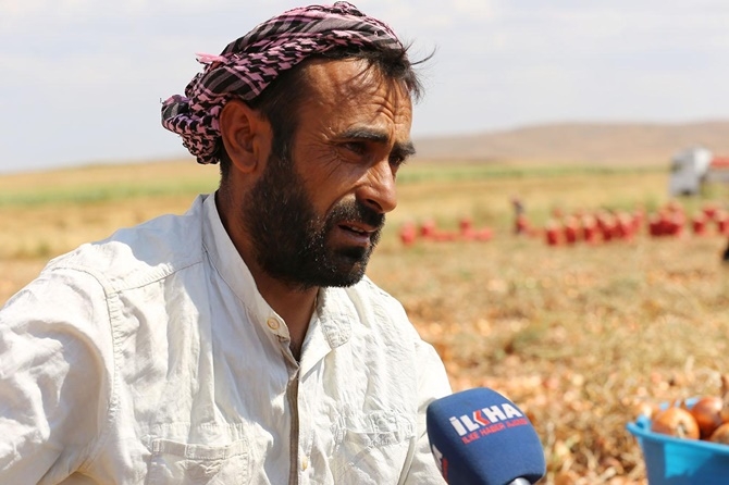 Mevsimlik işçiler: Emeğimizin karşılığını alamıyoruz 10