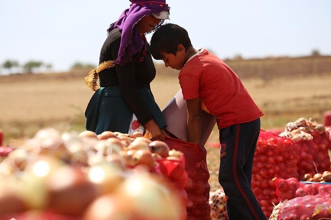 Mevsimlik işçiler: Emeğimizin karşılığını alamıyoruz 13