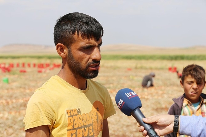 Mevsimlik işçiler: Emeğimizin karşılığını alamıyoruz 21