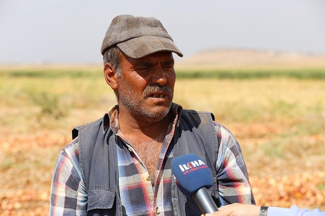 Mevsimlik işçiler: Emeğimizin karşılığını alamıyoruz 4