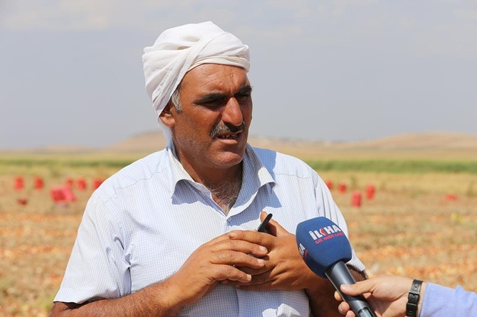 Mevsimlik işçiler: Emeğimizin karşılığını alamıyoruz 8
