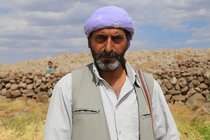 Karacadağ'da pirinç hasadı başladı 25