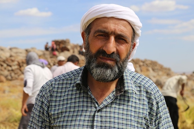 Karacadağ'da pirinç hasadı başladı 26