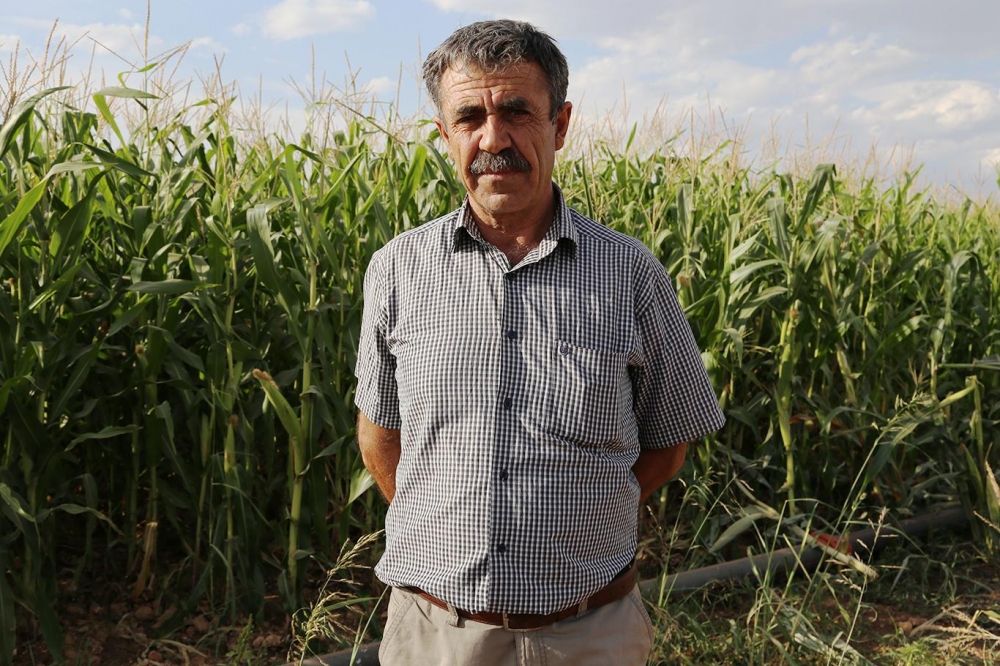 ​"Hayvan turşusu" yapan Çınarlı çiftçiler: Destek istiyoruz 20