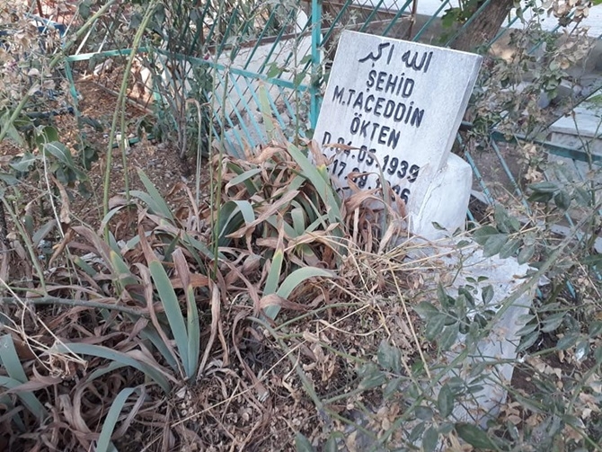 Çınar’da Kurban Bayramı coşkusu 2019 1