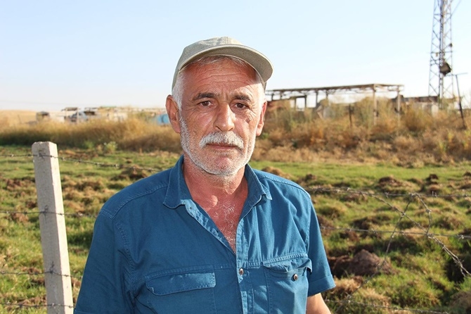 Kimyasal atıklardan dolayı hayvanlarımız telef oluyor 11