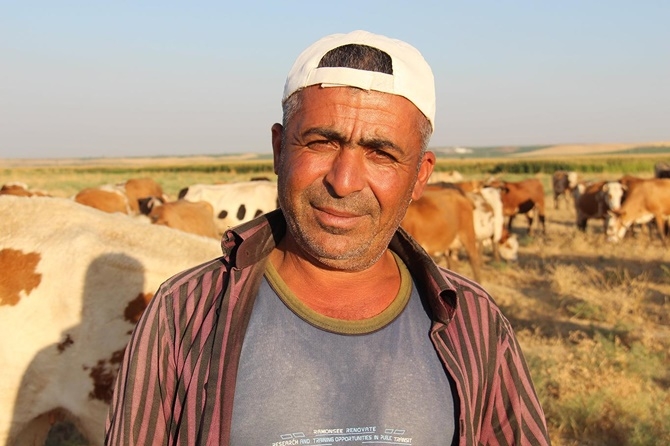 Kimyasal atıklardan dolayı hayvanlarımız telef oluyor 8