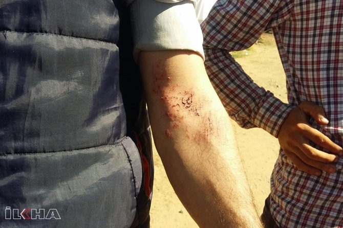 Çınarlı mevsimlik işçiler jandarma tarafından darp edildi iddiası 2