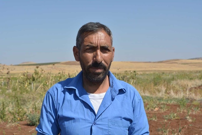 Çınarlı çiftçiler soğan fiyatlarından memnun değil 14