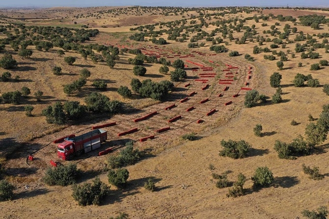 Çınarlı çiftçiler soğan fiyatlarından memnun değil 5