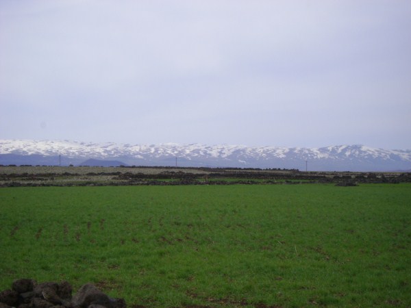 Qerecdağ 8