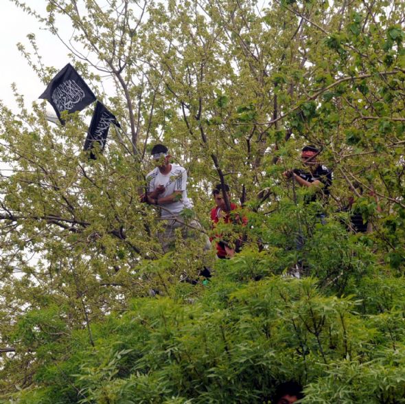 Diyarbakır Kutlu Doğum 2012 En Geniş Foto Galeri 73