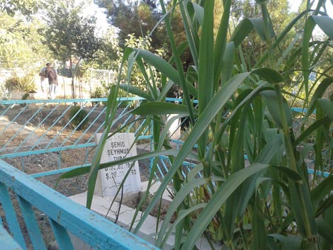 Çınar’da Ramazan Bayramı Coşkusu 14