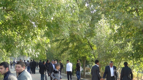 Çınar'da Kurban Bayramı Coşkusu 11