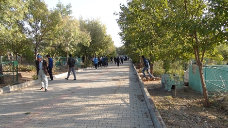 Çınar'da Kurban Bayramı Coşkusu 14