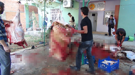 Çınar şefkat der 470 aileye kurban yardımında bulundu 2