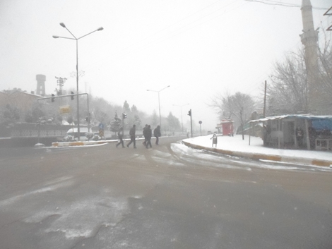 Çınar'da Kar Yağışı Başladı 28