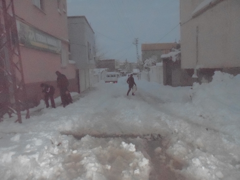Çınar'da Yoğun Kar Yağışı 16