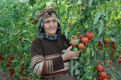 Kadınlar gününü ilk defa duyuyorum video