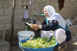 Cizreli kadınlar: Bizim günümüz mü kalmış video foto