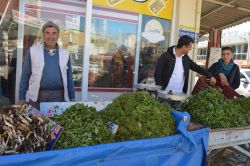 Baharda yetişen kenger tezgâhlarda video foto