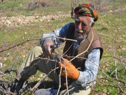 91 salî ye û ev bû 68 sal ku kesaxa rezan dike