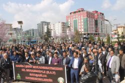 Çirkin karikatüre kitlesel tepki