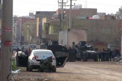 Şüpheli araçtan piknik malzemesi çıktı