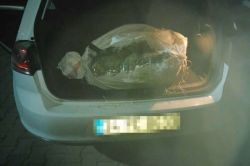 Diyarbakır’da esrar ele geçirildi