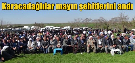 Karacadağlılar mayın şehitlerini andı video foto