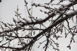 Çiftçilere don uyarısı!