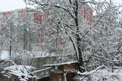 Gümüşhane yeniden beyaza büründü