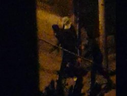 Dîmenên PKKyiyên ku dema têketine Baglarê derketin holê