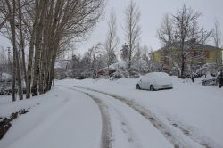 Karlıova’da yeniden kara teslim oldu